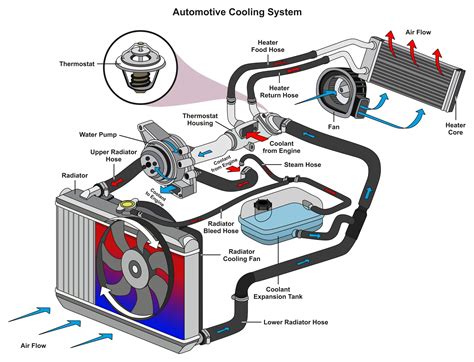 Radiator Leaking From Bottom: (Causes & Possible Fix)